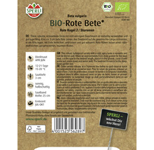 Ruban de graines de betterave rouge biologique Sperli Rote Kugel 2/Sturoman