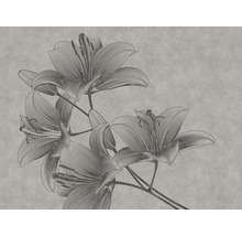 Papier peint panoramique intissé 38278-1 The Wall lys style line art 7 pces 371 x 280 cm