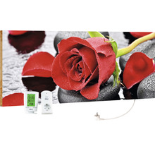 Chauffage infrarouge avec motif de rose, thermostat et prise radio