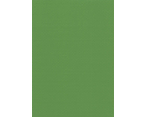 Bâche pour étang delifol 1,5 mm rouleau 25 x 2,05 m vert, bâche flottante pour bassin, env. 51,25 m² Papier vert