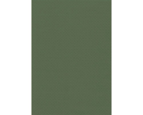 Bâche pour étang delifol 1,5 mm rouleau 25 x 2,05 m vert foncé, bâche flottante pour bassin, env. 51,25 m² Papier peint à motif losanges