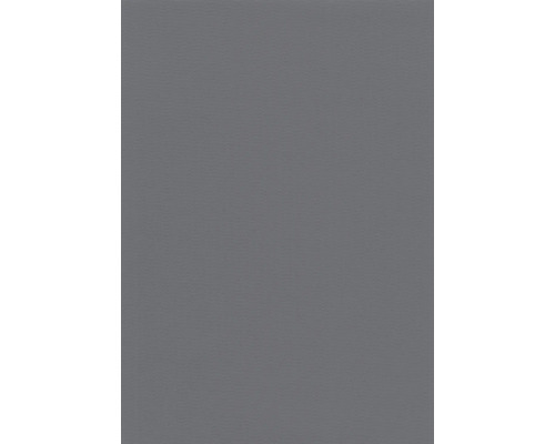 Bâche pour étang delifol 1,5 mm rouleau 25 x 2,05 m gris, bâche flottante pour bassin, env. 51,25 m² Fond gris.