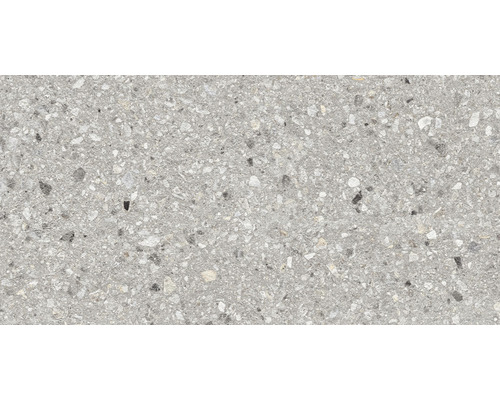 Dalle de terrasse FLAIRSTONE en grès cérame fin Terrazzo grigio bords rectifiés 120 x 60 x 2 cm-0