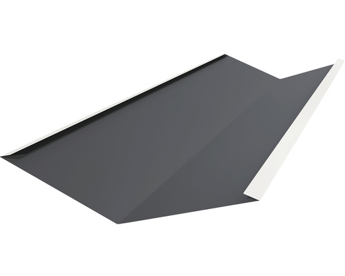 Profilé PRECIT pour bandes à clipser trapèze gris anthracite RAL 7016 2000 x 540 x 100 mm