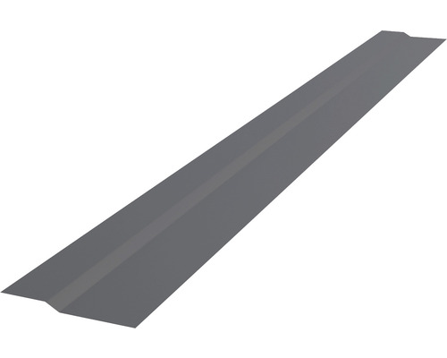 Profilé plat PRECIT pour bandes à clipser trapèze gris anthracite RAL 7016 2000 x 90 x 10 mm