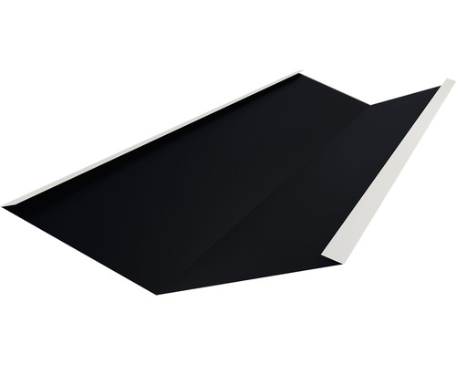 Chéneau PRECIT pour bandes à clipser trapèze noir foncé RAL 9005 2000 x 540 x 100 mm