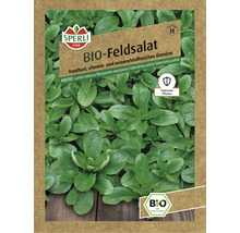 Sperli Bio Feldsalat Samenpackung