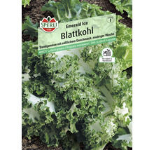 Sachet de graines de chou vert Emerald Ice