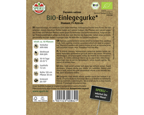 Paquet de graines de cornichons biologiques, Diamant F1-Hybride