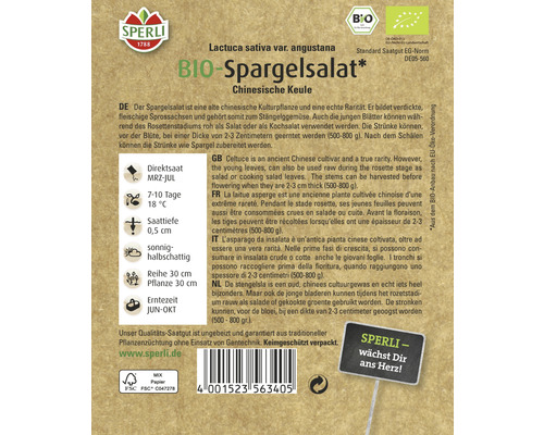 Sachet de graines de laitue asperge bio, variété chinoise Keule