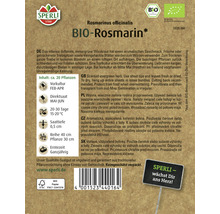 Graines de romarin Sperli Bio-thumb-1