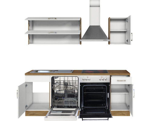 Küchenzeile mit Spüle, Geschirrspüler, Backofen und Dunstabzugshaube