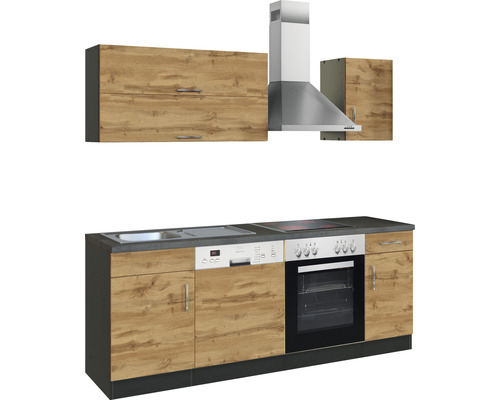 Cuisine équipée avec évier, lave-vaisselle, plaque de cuisson, four et hotte aspirante