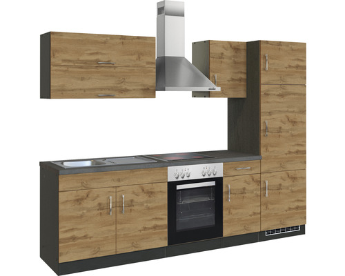 Komplette Küchenzeile mit Spüle, Kochfeld, Backofen, Dunstabzugshaube und Schränken