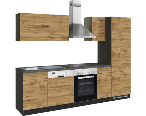 Komplette Küchenzeile mit Hängeschränken, Spüle, Herd, Ofen, Geschirrspüler und Dunstabzugshaube