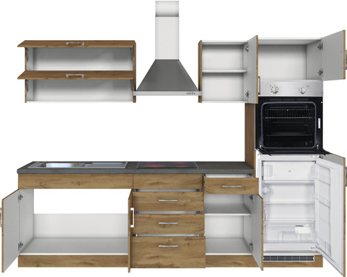 Küchenzeile mit Spüle, Kochfeld, Backofen, Dunstabzugshaube, Hängeschränken und Unterschränken