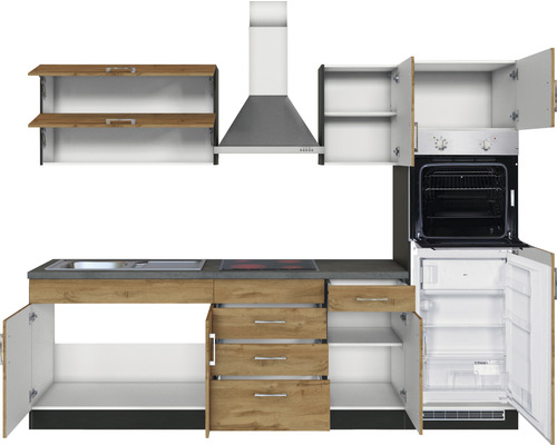 Küchenzeile mit Spüle, Herd, Dunstabzugshaube, Backofen und Kühlschrank