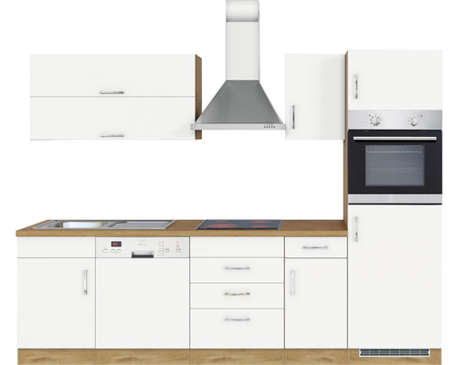 Küchenzeile mit Spüle, Geschirrspüler, Kochfeld, Dunstabzugshaube und Backofen