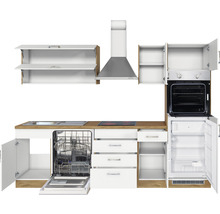 Cuisine équipée avec évier, plaque de cuisson, lave-vaisselle, four, réfrigérateur et hotte aspirante