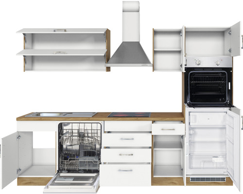 Küchenzeile mit Spüle, Kochfeld, Geschirrspüler, Backofen, Kühlschrank und Dunstabzugshaube