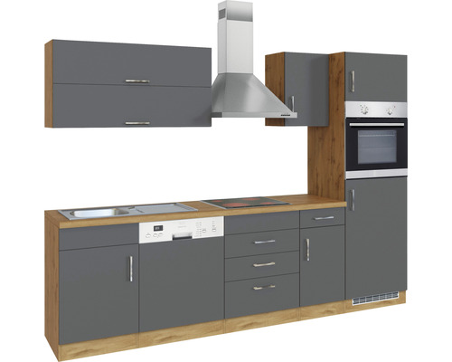 Komplette Küchenzeile mit Spüle, Geschirrspüler, Kochfeld, Dunstabzugshaube und Backofen.