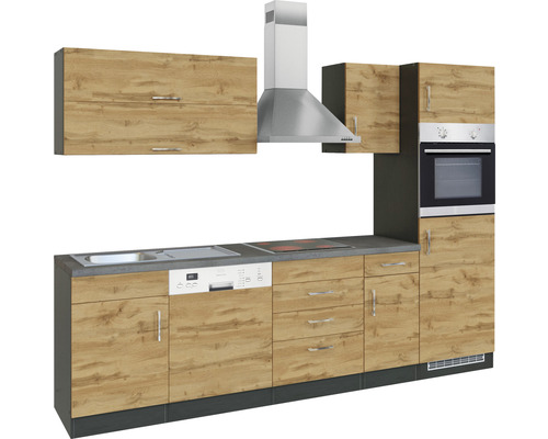 Komplette Küchenzeile mit Spüle, Geschirrspüler, Herd, Backofen und Dunstabzugshaube.