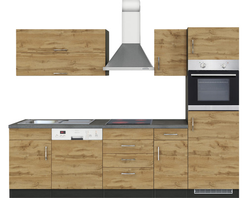 Küchenzeile mit Spüle, Geschirrspüler, Kochfeld, Dunstabzugshaube und Backofen