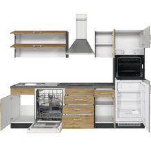 Cuisine équipée avec évier, lave-vaisselle, cuisinière, four, hotte aspirante et réfrigérateur.