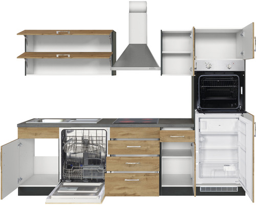 Küchenzeile mit Spüle, Geschirrspüler, Herd, Backofen, Dunstabzugshaube und Kühlschrank.