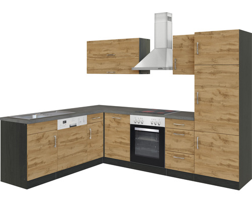 Moderne Küche mit Spüle, Geschirrspüler, Herd, Backofen, Dunstabzugshaube und Hängeschränken