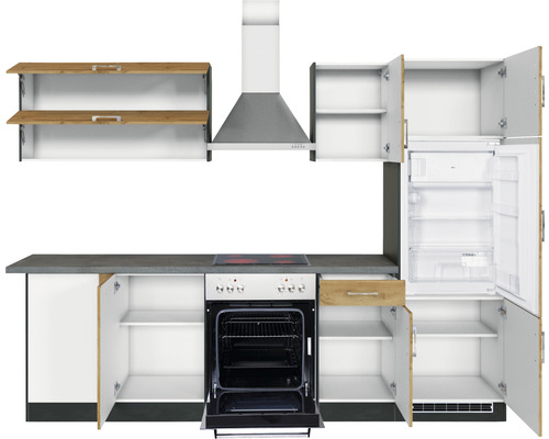 Küchenzeile mit Hängeschränken, Dunstabzugshaube, Herd, Backofen und Kühlschrank