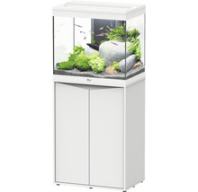 Weißes Aquarium mit Unterschrank, Pflanzen, Fischen und Steinen