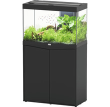 Aquarium avec meuble bas, planté et avec des poissons