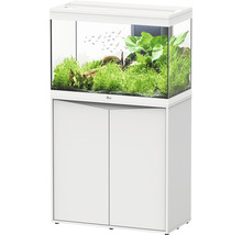 Ensemble aquarium avec meuble, planté et avec poissons