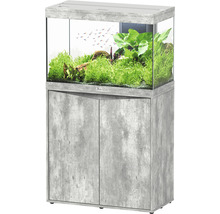 Ensemble aquarium avec meuble et végétation