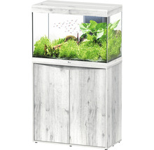 Aquarium combiné avec meuble bas et végétation
