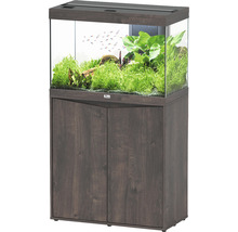Combinaison aquarium avec meuble bas, planté et avec poissons