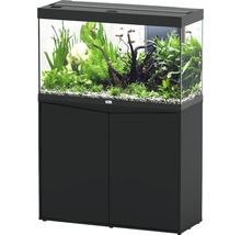 Aquarium complet avec meuble bas, planté et avec poissons