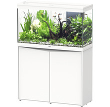 Aquarium combiné avec meuble bas, comprenant des plantes et des poissons