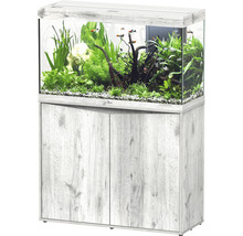 Aquarium combiné avec meuble bas, comprenant des plantes et des poissons