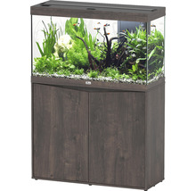 Combinaison aquarium avec meuble, plantée et avec des poissons