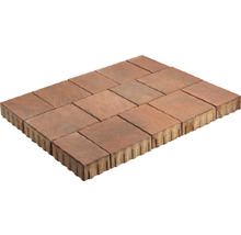 Pavés en béton