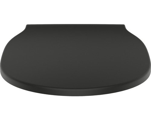 Toilettendeckel aus Duroplast