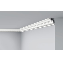 Vue d''une pièce avec une moulure décorative au plafond