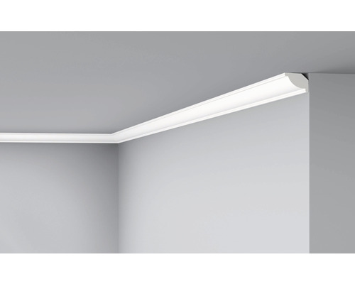 Profipack Deckenleiste/Sockelleiste C5, 36 x 2 m, 20 x 15 mm