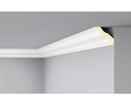 Profipack Deckenleiste F15, 5 x 2 m, 100 x 90 mm