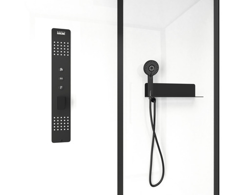 Douche avec pommeau de douche et panneau de douche