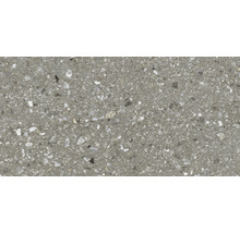 Dalle de terrasse FLAIRSTONE en grès cérame fin Terrazzo naturale bords rectifiés 120 x 60 x 2 cm-thumb-7
