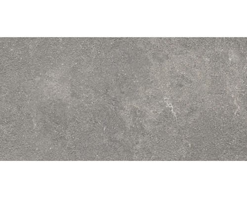 Carreau en grès cérame gris avec surface mate