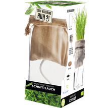 Kit de culture - ciboulette BIO auto-arrosage